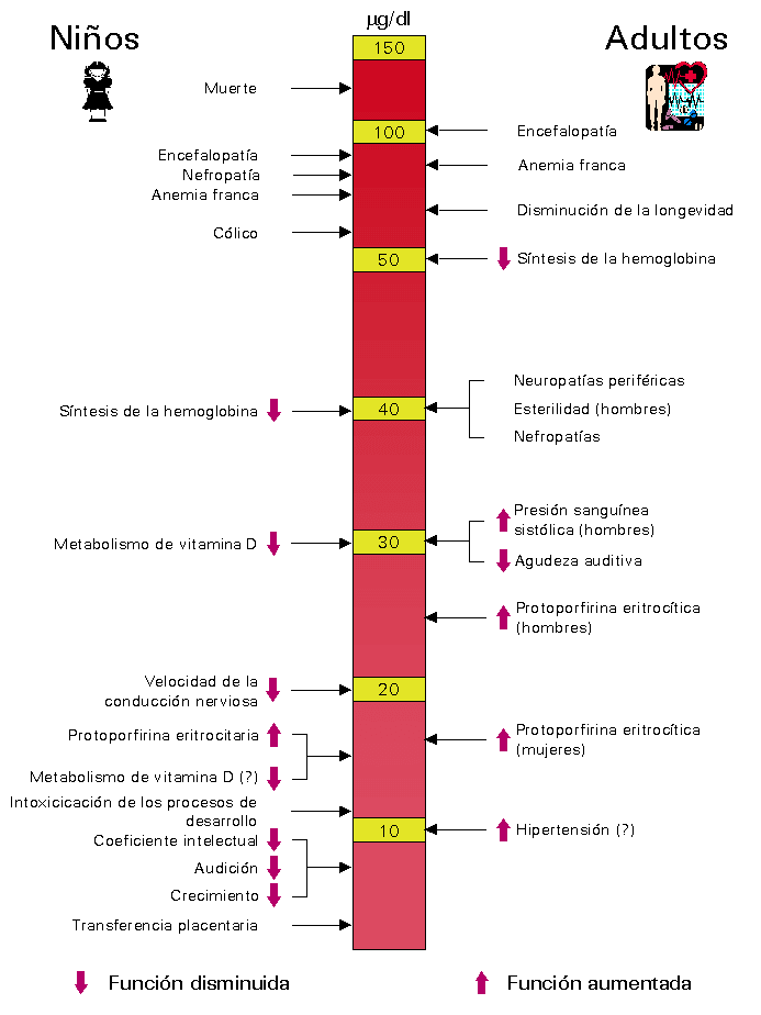 Nivel-de-intoxicaci&oacute;n-por-plomo