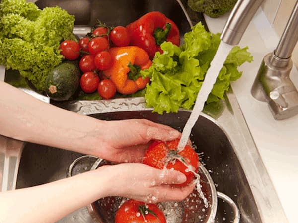 Contaminacion Biótica 3 contaminacion-biotica