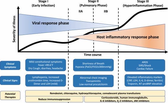 Recomendaciones fito-nutricionales para el COVID-19 4 fases-de-la-infección-del-COVID-19