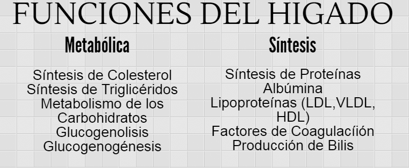 funciones del h&iacute;gado