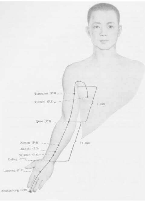 Maestro Corazón (Pericardio) 9 meridiano del maestro corazon