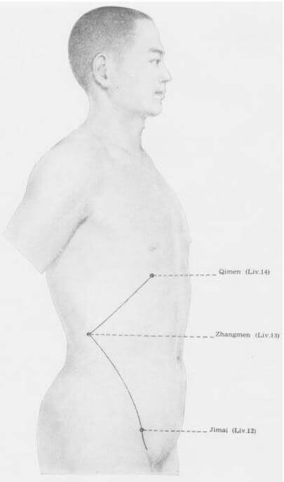 Meridiano del Hígado 5 meridiano del higado superior
