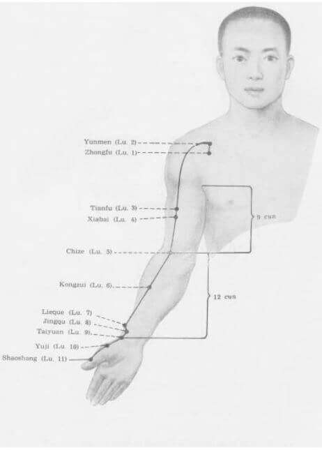 meridiano del pulm&oacute;n