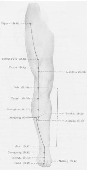 meridiano est&oacute;mago inferior