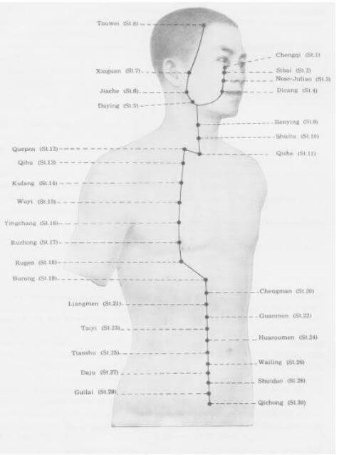 Meridiano del Estómago 3 meridiano estomago superior