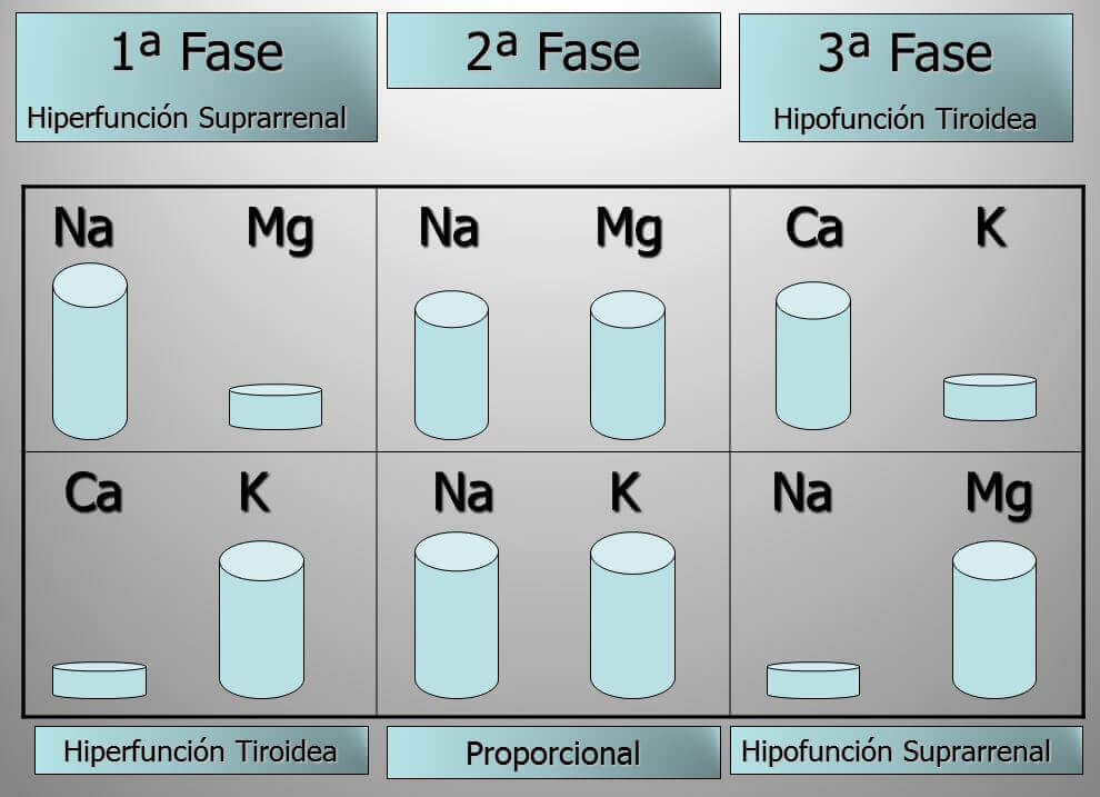 Centro-mineralograma-del-cabello-eixample