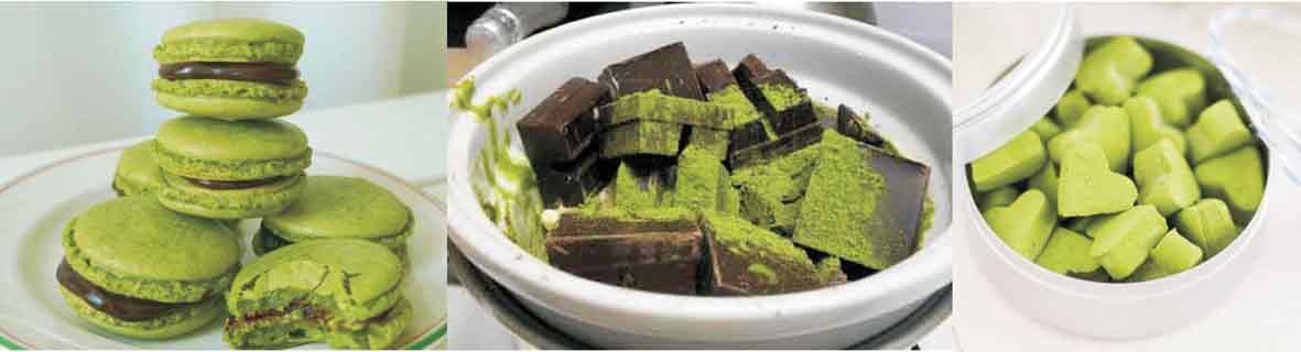 Té Matcha 67 pastas hecha con matcha