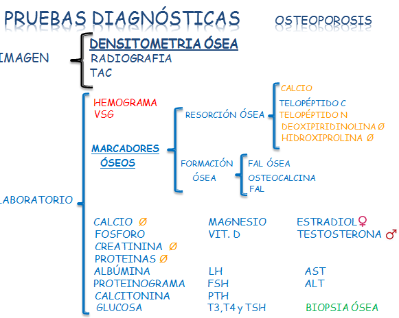 pruebas-osteoporosis
