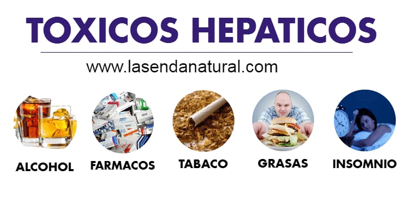 toxicos hep&aacute;ticos