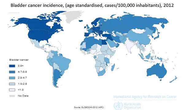 C&aacute;ncer de vejiga y trihalometanos a nivel mundial