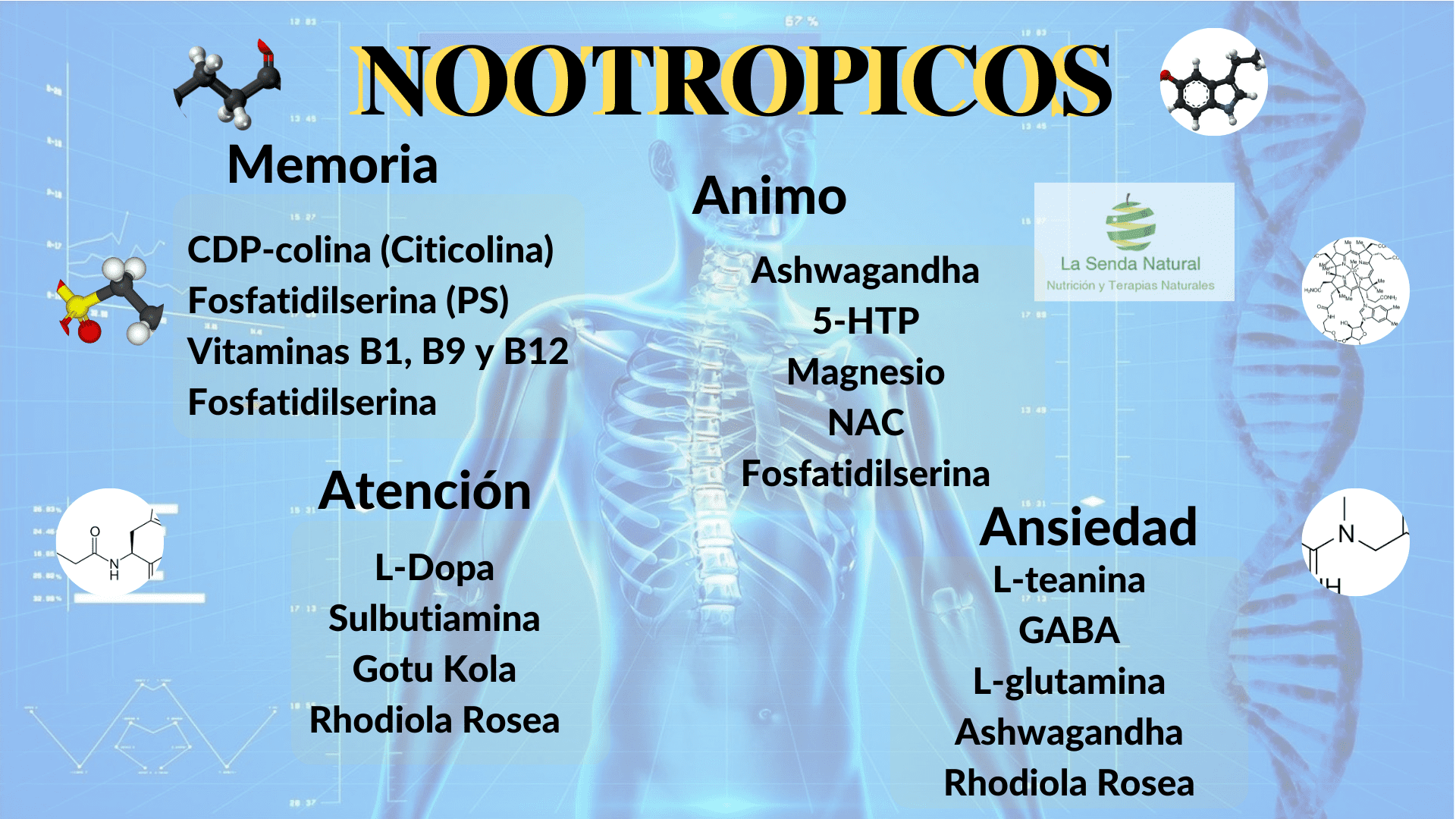 Funciones de los Nootr&oacute;picos