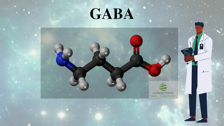 GABA nootr&oacute;pico