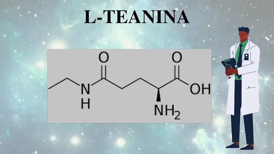L-Teanina nootr&oacute;pico