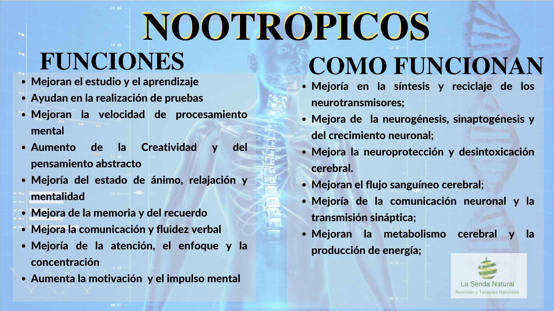 Funciones de los nootr&oacute;picos