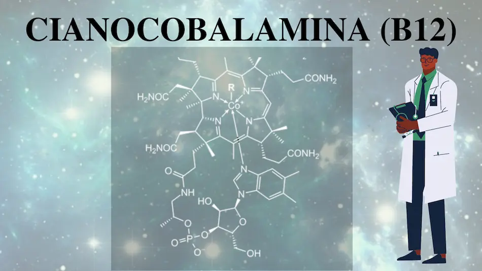 Qu&eacute; es la vitamina B12