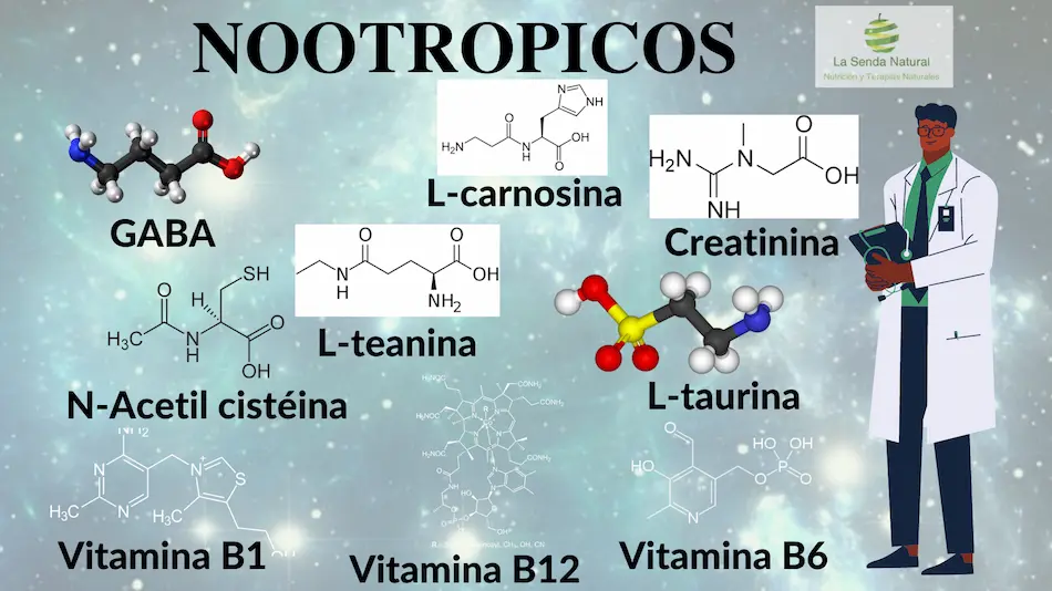 que son los nootr&oacute;picos