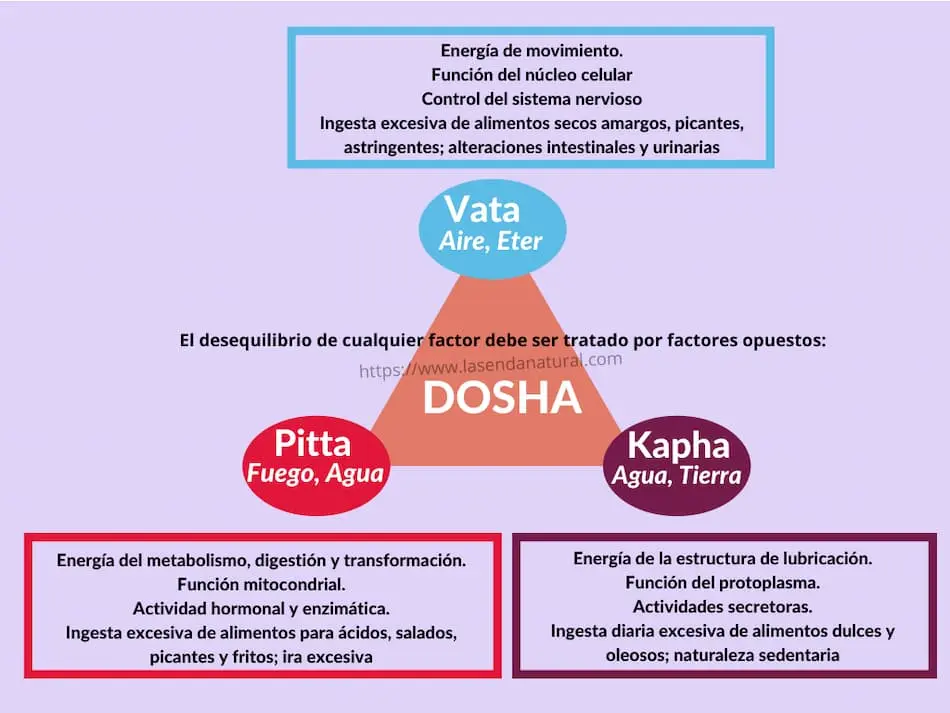 Conceptos básicos del Ayurveda (1ª parte) 63 Doshas conceptos básicos