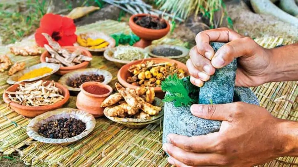 Conceptos b&aacute;sicos del Ayurveda