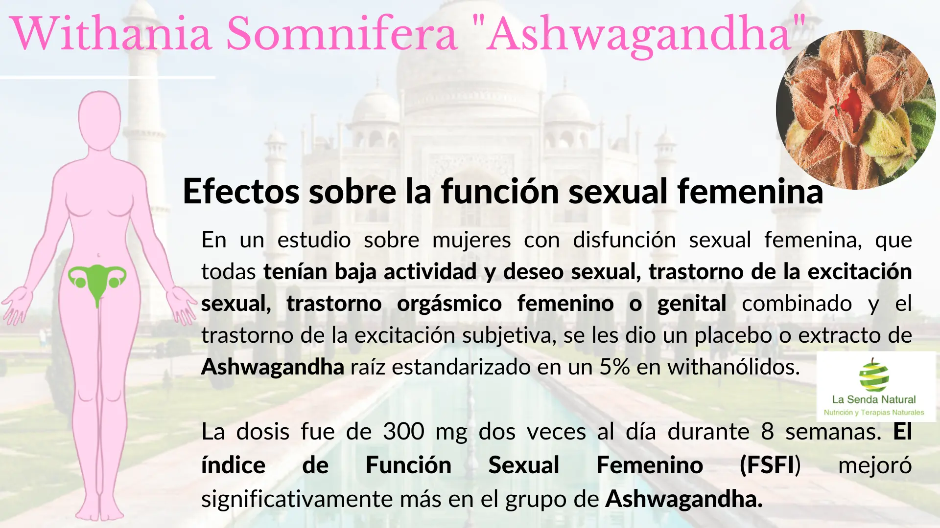 Ashwagandha y funci&oacute;n sexual femenina