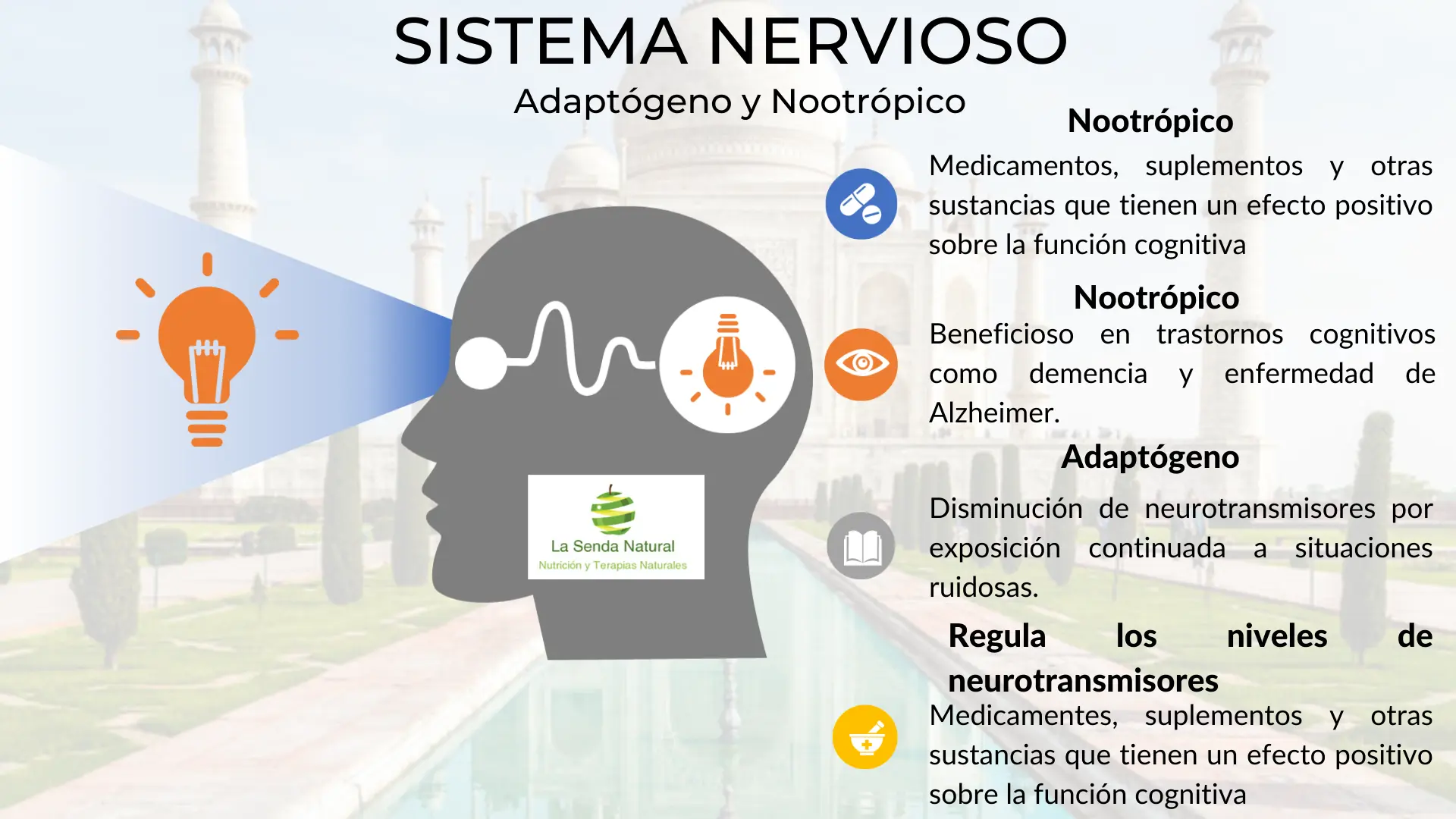Ashwagandha efecto nootr&oacute;pico