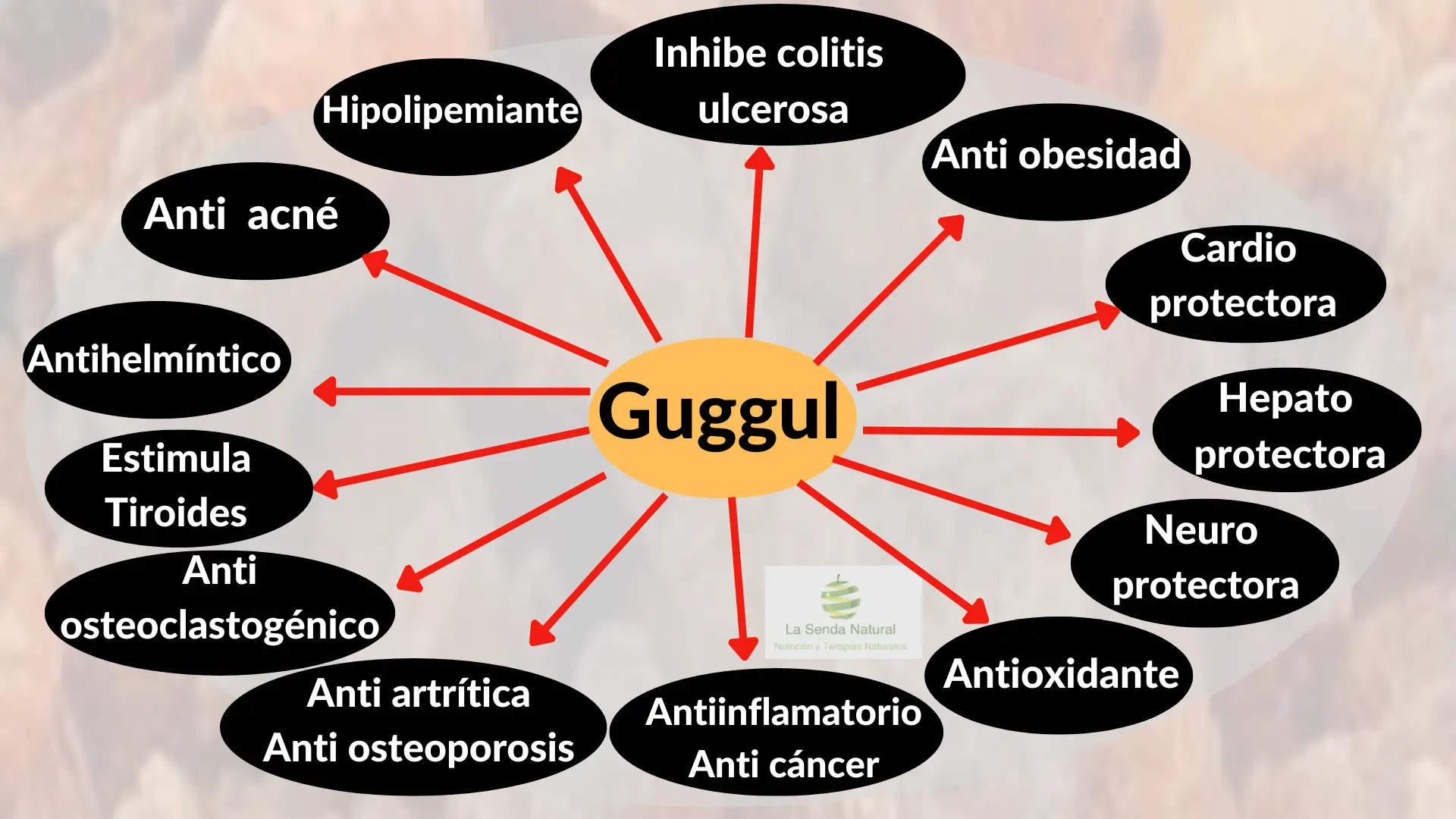 Beneficios terap&eacute;uticos del Guggul