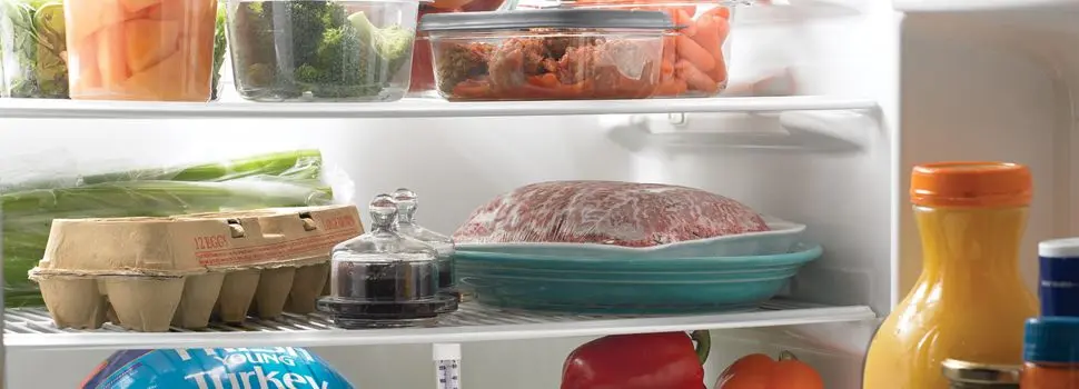 Procedimientos de conservaci&oacute;n