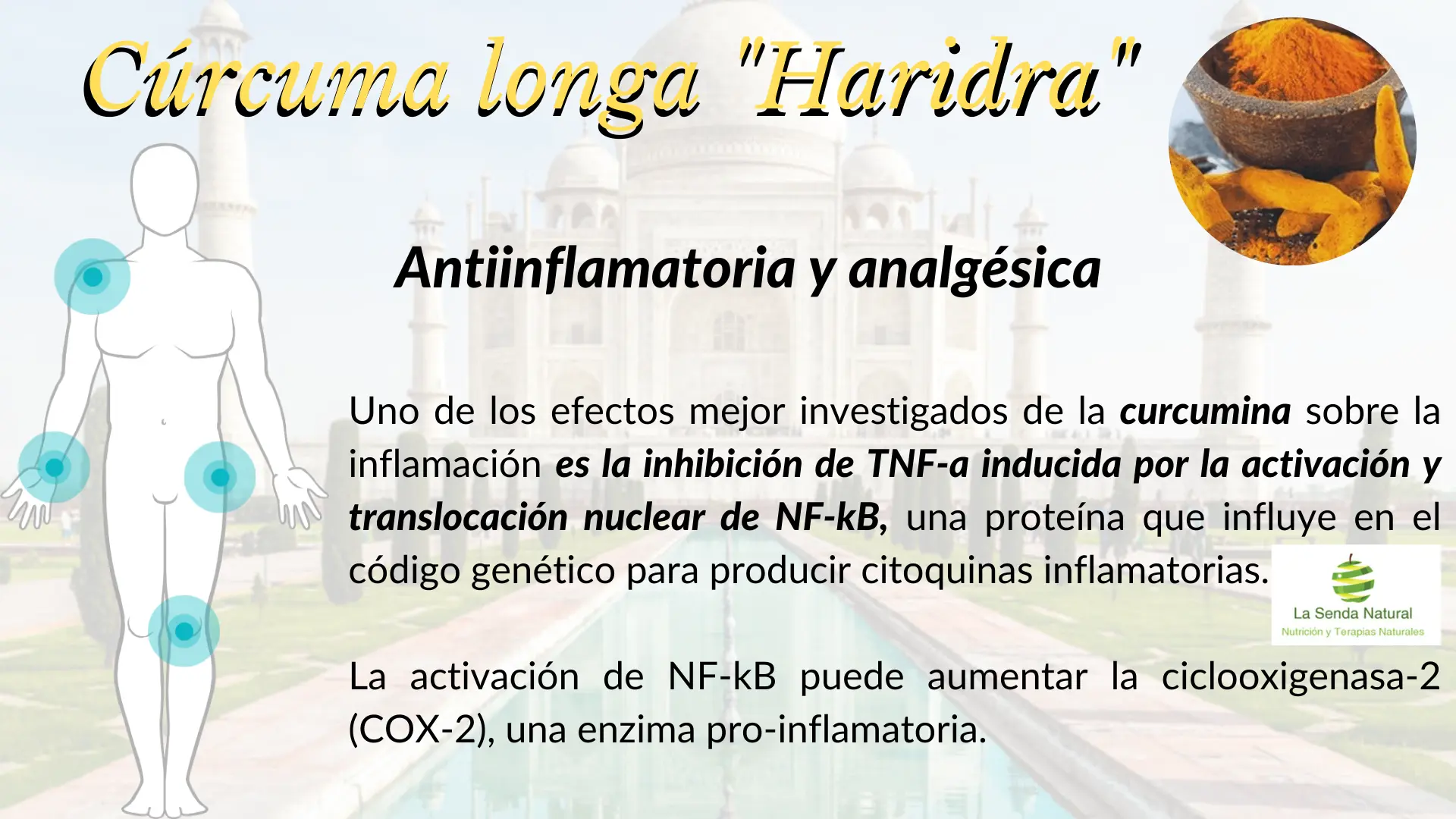 C&uacute;rcuma efectos antiinflamatorios