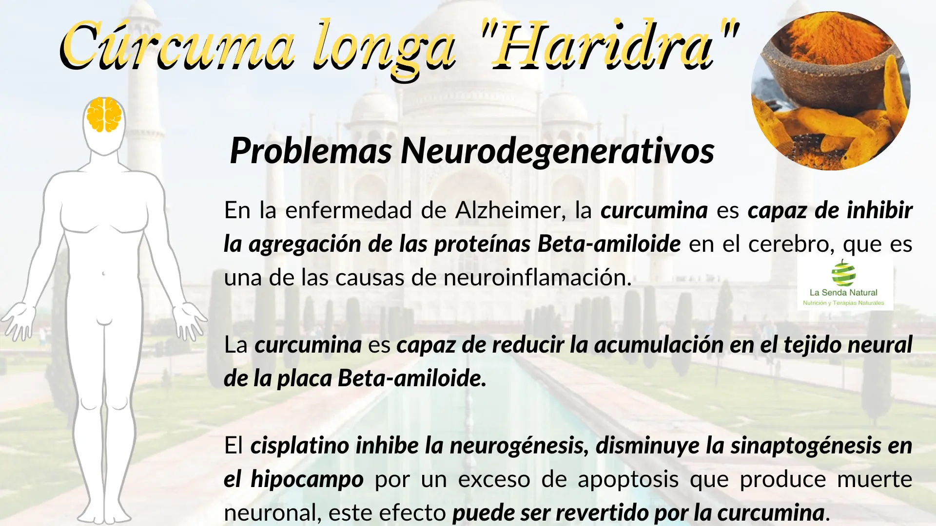 C&uacute;rcuma y problemas neurodegenerativos