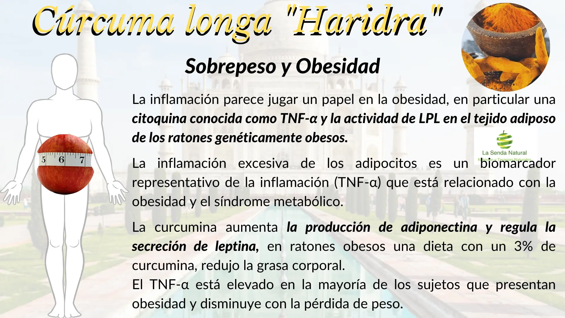 C&uacute;rcuma y sobrepreso-obesidad