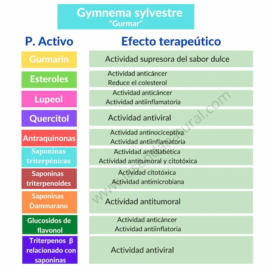 Gymnema principios activos