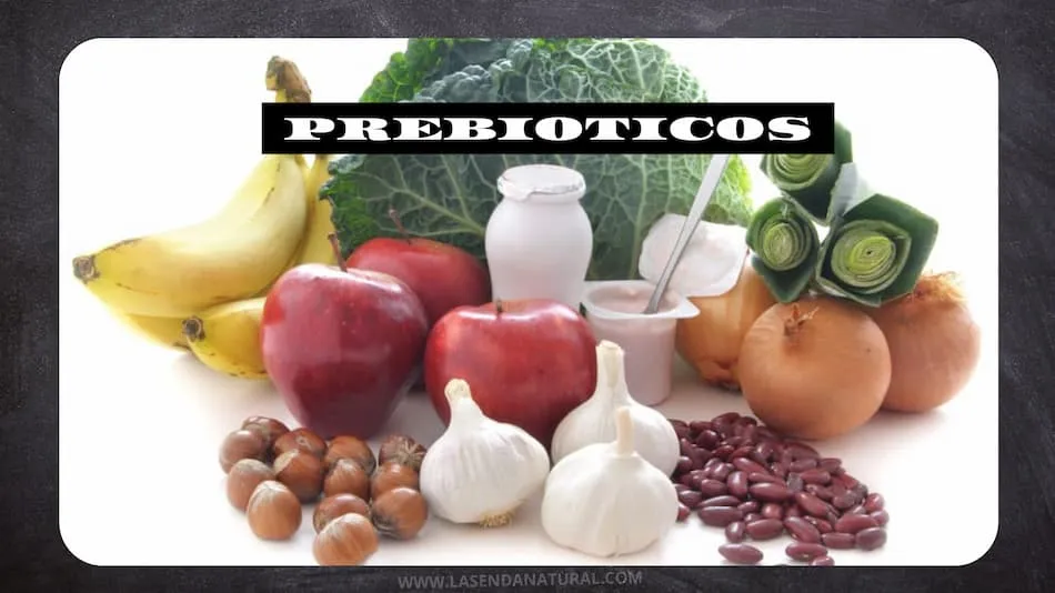 Prebi&oacute;ticos y Probi&oacute;ticos