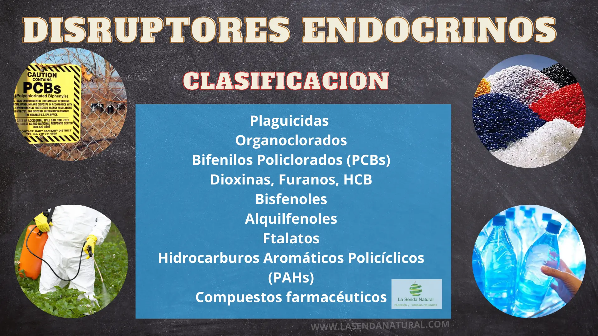 Qu&eacute; son los disruptores endocrinos