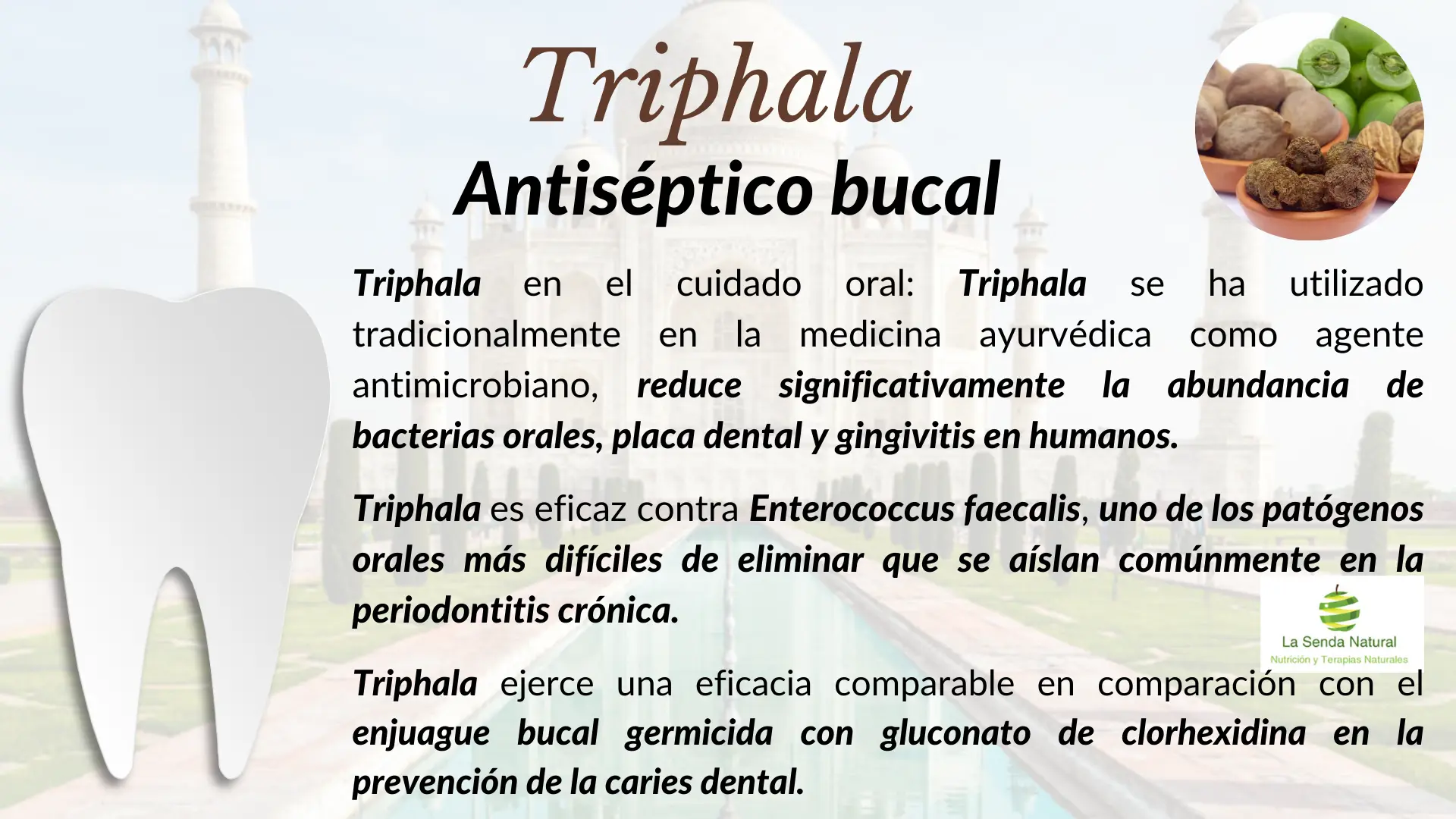 Triphala efecto antis&eacute;ptico oral 
