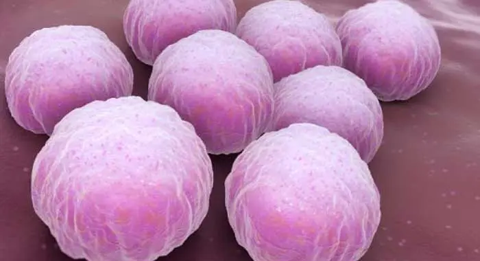 Beneficios de los microorganismos-1