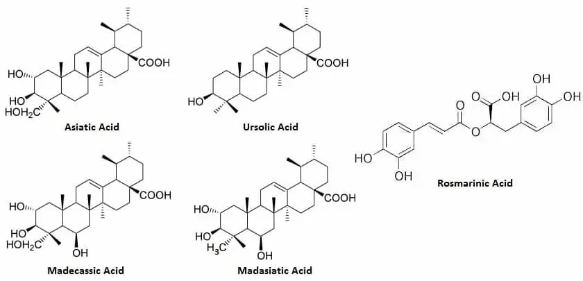 principios activos de la centella asi&aacute;tica