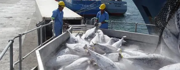 Técnicas de conservación por Frío 63 ultra congelación