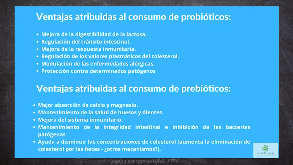 ventajas de los probi&oacute;ticos