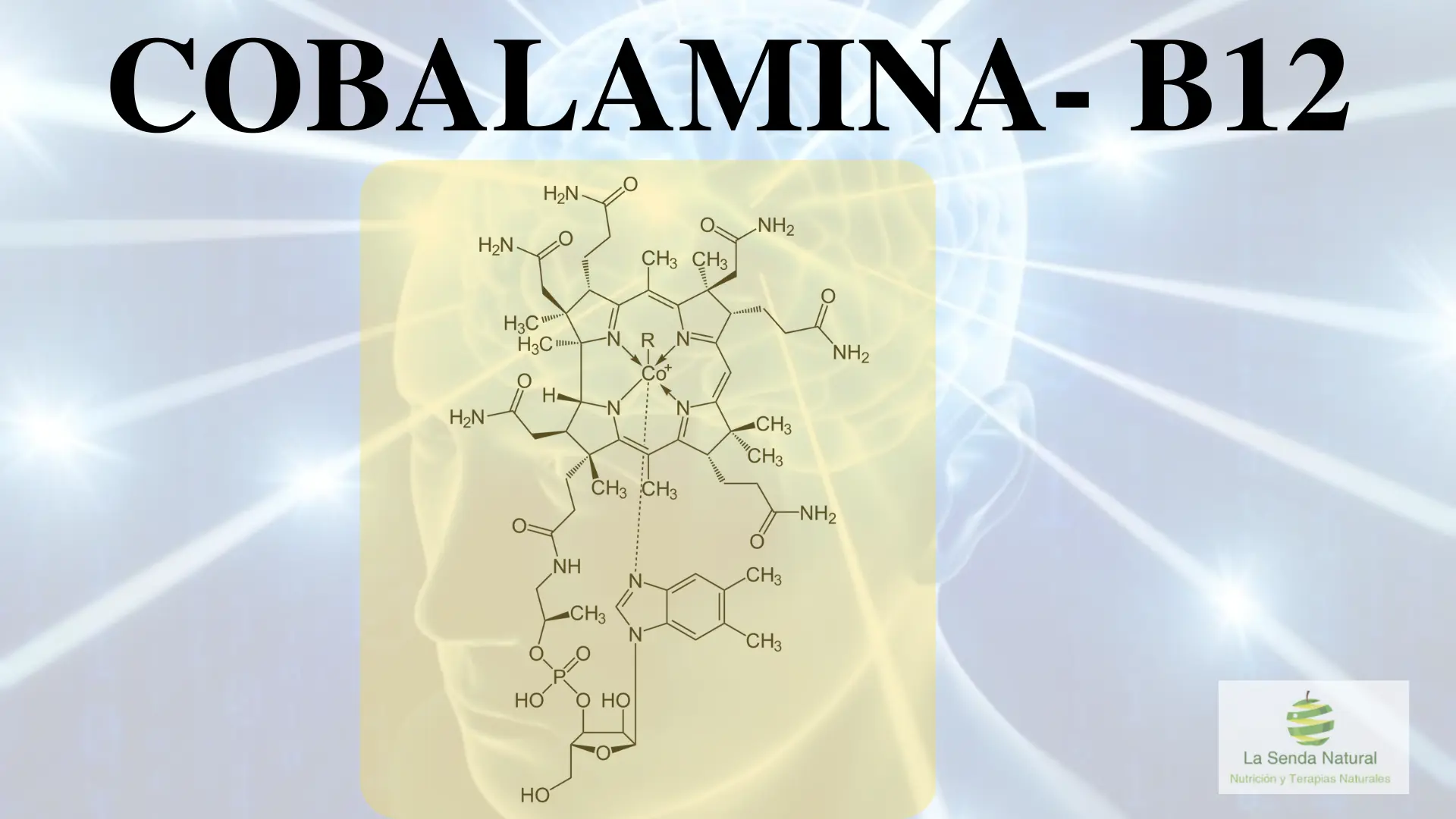 Que son las cobalaminas