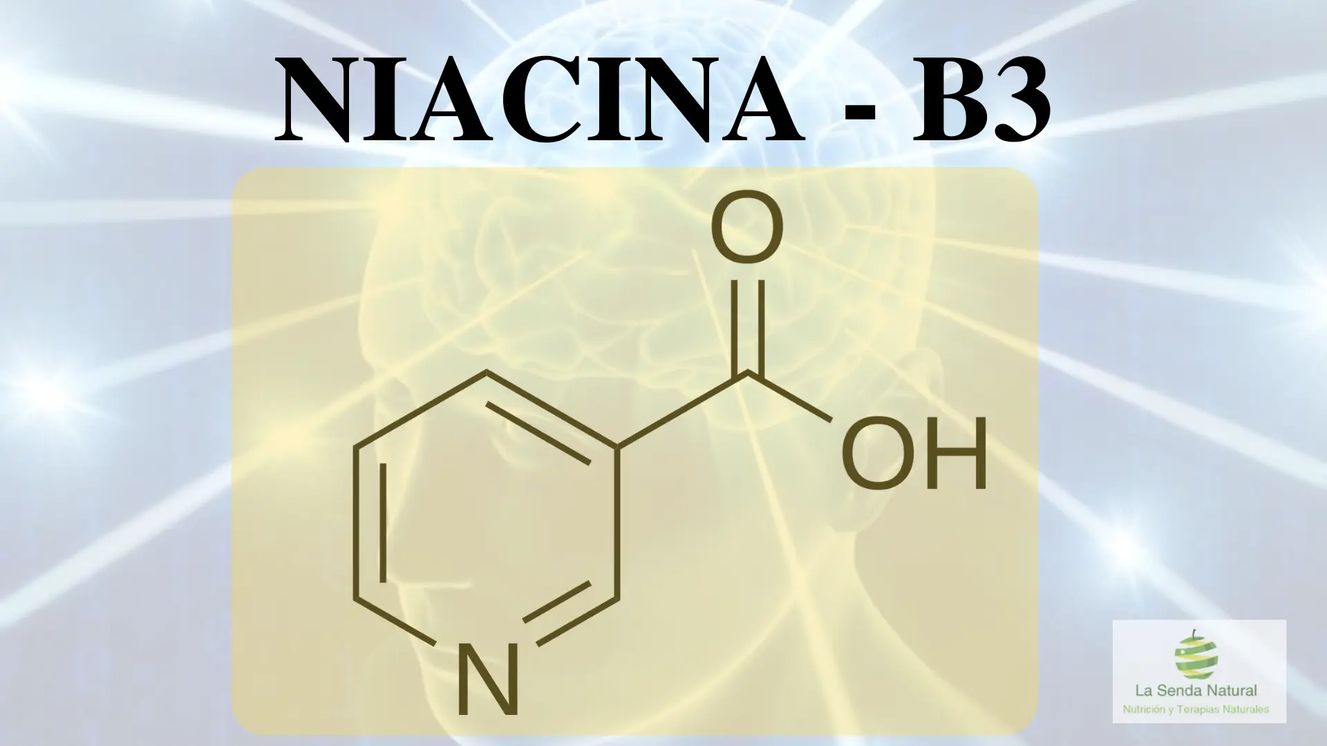 Qu&eacute; es la vitamina B3