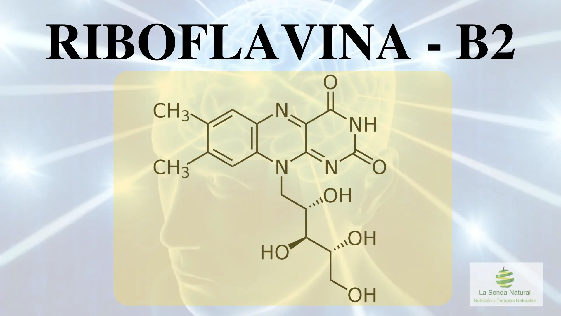 Qu&eacute; es la riboflavina