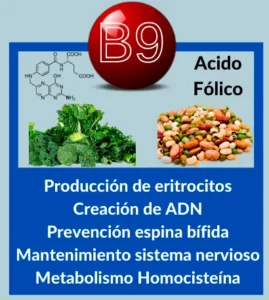 Acido Fólico B9