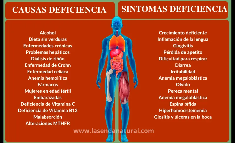 deficiencia de Acido fólico (B9)