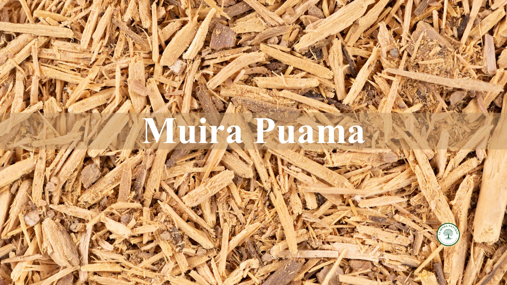 Qué es el Muira puama